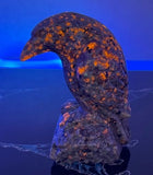 Yooperlite Raven
