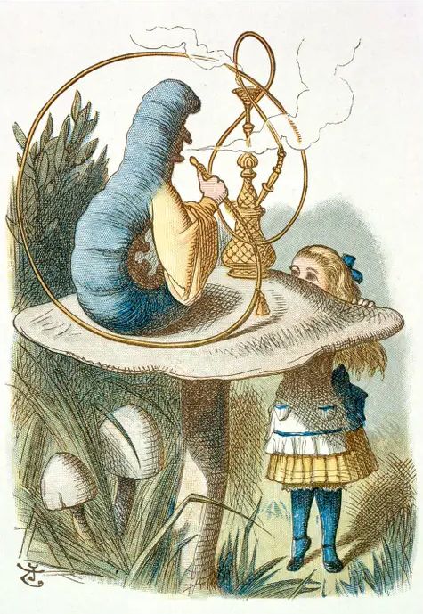 Alice & the Caterpillar