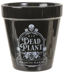 Dead Plant Ceramic Flowerpot