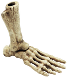 Skeletal Foot Cast Iron Pen Holder