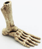 Skeletal Foot Cast Iron Pen Holder