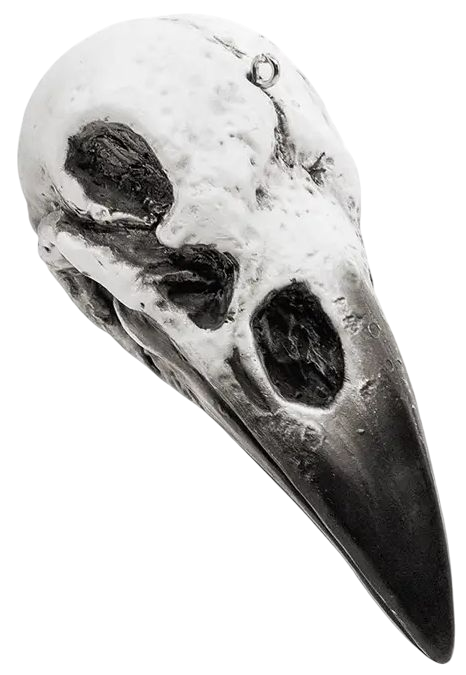 Raven Skull Ornament