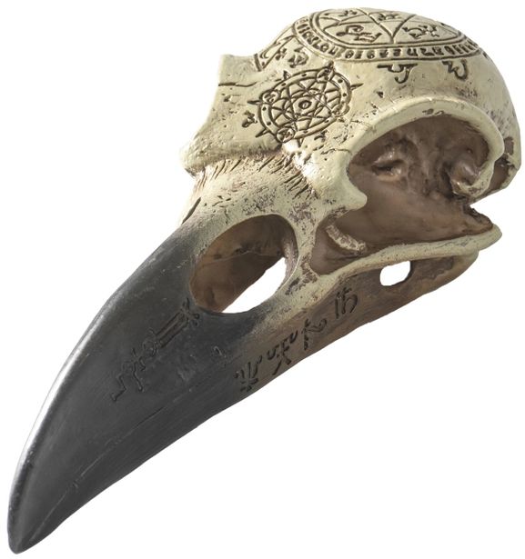 Occult Raven Skull Sculptire