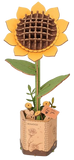 Single Flower Model Kits