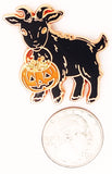 Trick-or-Treat Baby Goat